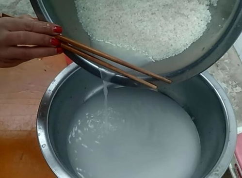 淘米水发酵多久浇菜