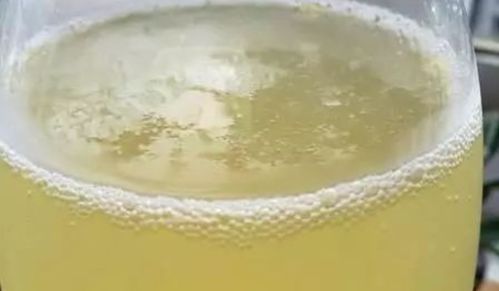 黄豆做养花肥的妙用 方法 用法