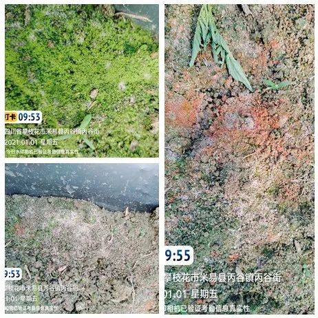 有效改良土壤,增产不是问题