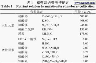 观光农业园草莓主要栽培模式及营养液配制