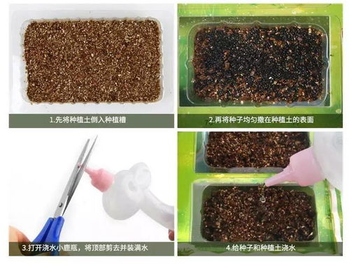 你有的是时间陪伴孩子