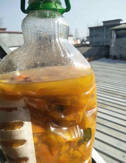 给花喷点杀菌水,虫子全杀死,杀菌消毒叶子绿