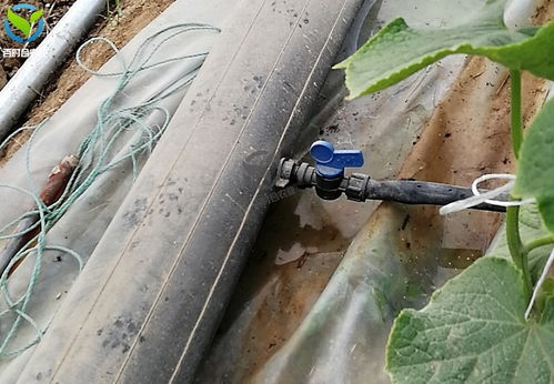 水肥一体化一亩要多少钱