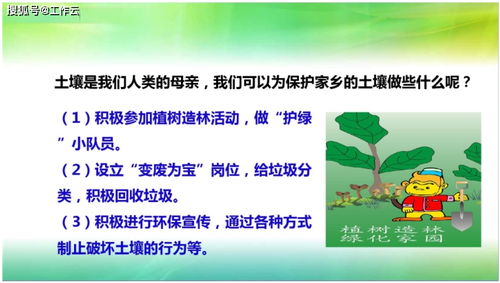 苏教版科学三年级上册科学2.7保护土壤 课件