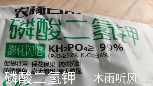 芸苔素与磷酸二氢钾混用,多久能见效 如何搭配使用效果更好