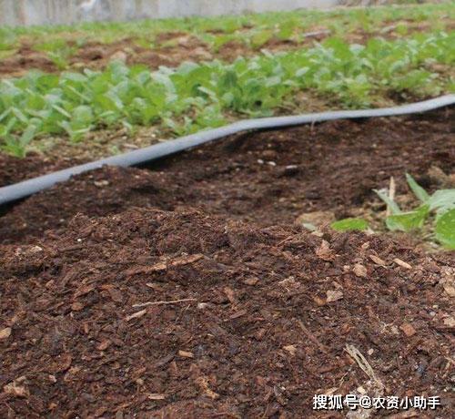 黄腐酸钾肥料,矿源黄腐酸钾哪家好,黄腐酸钾黑金晶水溶肥