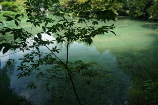 七月流火的夏天,来一场绿意盎然的亲水之旅