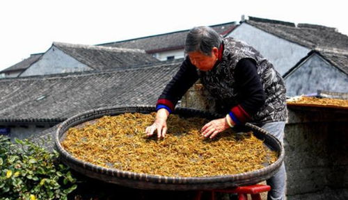 买这7种菜晒干菜,给新鲜菜我都不换,1年不会坏,冬天焖肉特别香