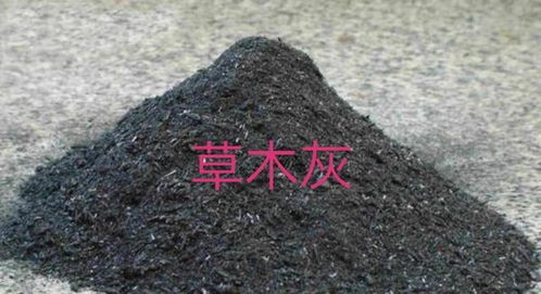 农民如何正确使用草木灰 尿素和硫酸铵等肥料