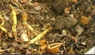 30个垃圾分类金点子,等你来评定