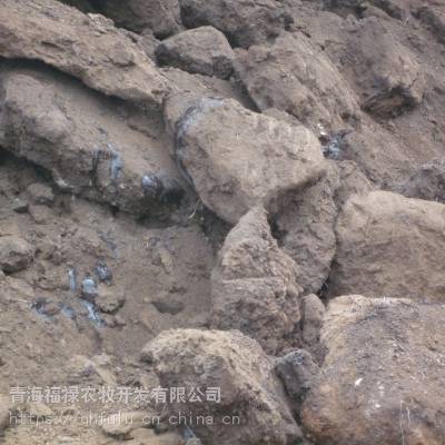 价格 厂家 中国供应商