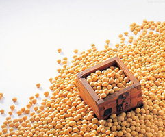 睡前管住口 盘点致失眠的十大食物