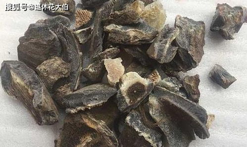 光买便利的 营养土 养花,不行,盆底垫这些小东西才能不烂根