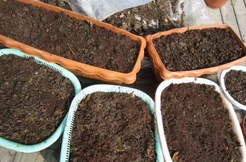 如何让土壤肥沃 零成本 制作营养土,2种方法让腐殖质含量高