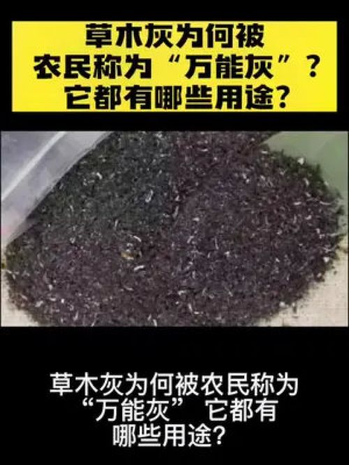 草木灰还可以抑制病虫害 草木灰还能延长花期 草木灰有吸热的作用 草木灰可以储藏保鲜 可以当清洁剂用 草木灰还可以止血
