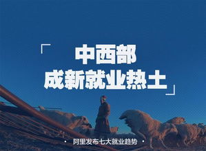 回乡创业淘宝卖羊粪 年销售额200万