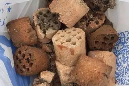 这些东西不要扔了,土里拌一些,养花效果好,还能改善土壤