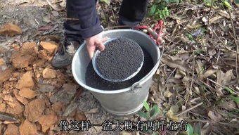 放我下来1