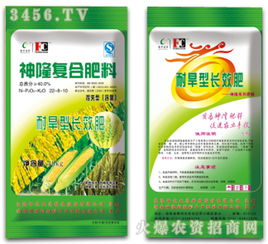 优惠券 十大品牌排行榜 哪个牌子好 淘宝商城 天猫商城精选 京东商城 拼多多商城