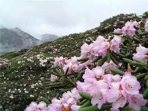 西安附近的秦岭山头,有你不知道的美景