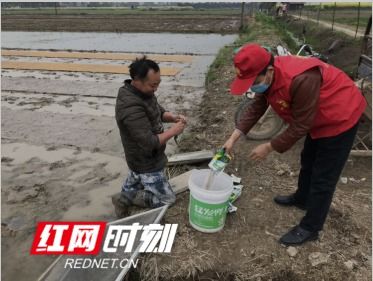 汉寿县 志愿者深入田间地头助力春耕生产