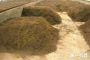 育苗营养土配制方法,蔬菜育苗用基质及营养土配制