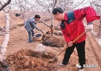 果树施肥机械视频