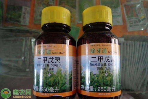 玉米除草剂怎么配制效果好