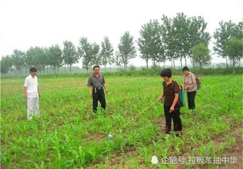 玉米田除草剂 异丙草 莠 烟嘧磺隆优缺点