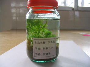 生态瓶 搜狗百科