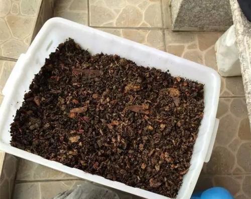 茶话 妙用 茶叶渣堆成肥,啥花都能活
