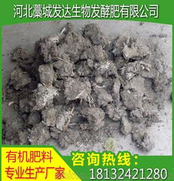出售安徽自然晾干鸡粪块 江苏颗粒鸡粪 福建发酵鸡粪 安徽生物有机肥