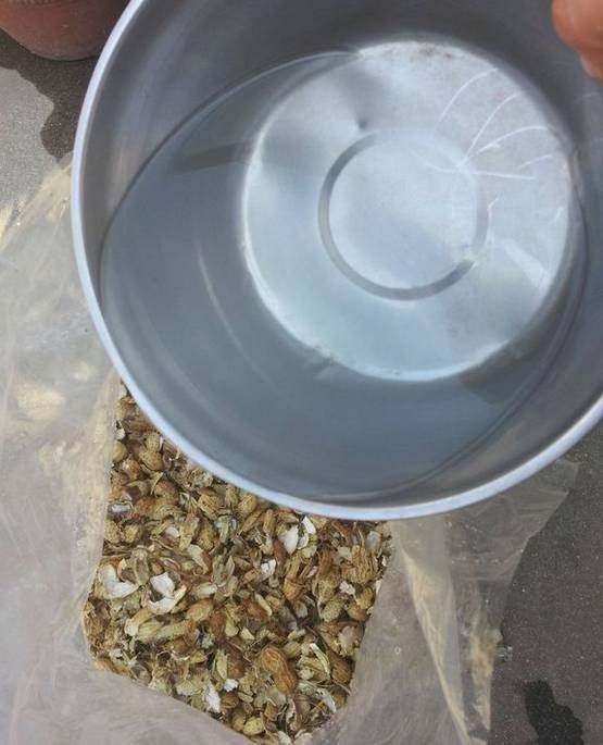 营养土不用买,3种小东西掺一掺,土壤肥的流油,养啥旺啥
