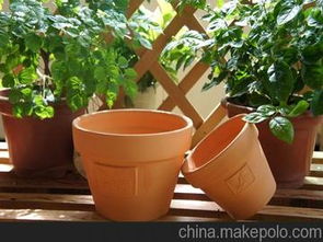 陶瓷花盆批发市场