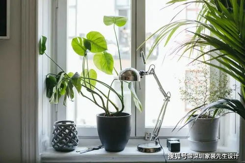 客厅没阳台,试试这些设计,明亮美观能储物