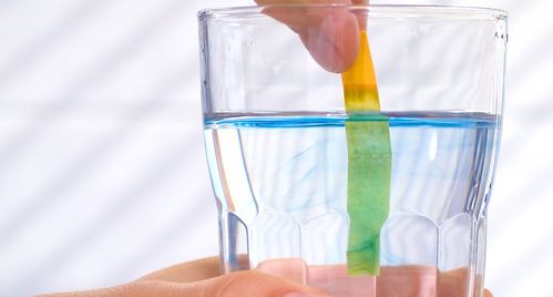 酸碱体质 是科学,还是谎言 如何区分食物是酸性还是碱性