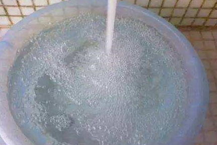 夏天浇花要当心,这 3种水 一定不要用,浇一盆死一盆,信不