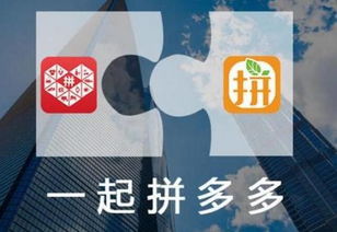在淘宝的强势之下,看拼多多是如何冲击电商市场 迎战电商巨头