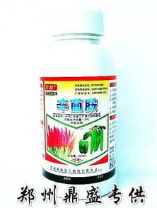 专治辣椒 炭疽病 灰霉病 叶霉病杀菌剂好农药