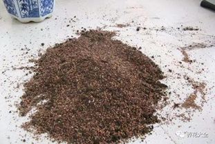 盆栽里的杂草有这用处 快别拔了,留下几棵