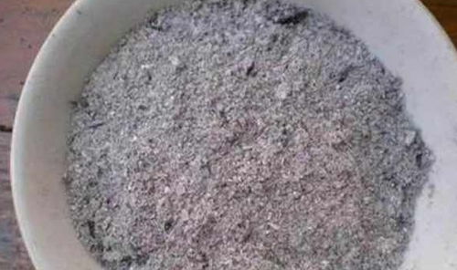君子兰最喜欢的肥料,每次 吃 一点,生长速度快,开花也增多 植株 瓜子 土壤