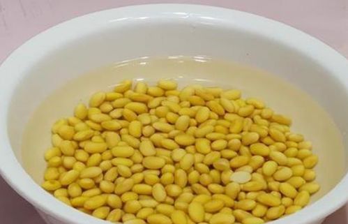 臭黄豆水浇花有什么危害么