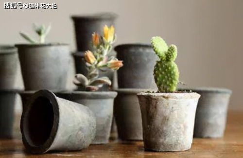高筒花盆浇水后渗水很慢