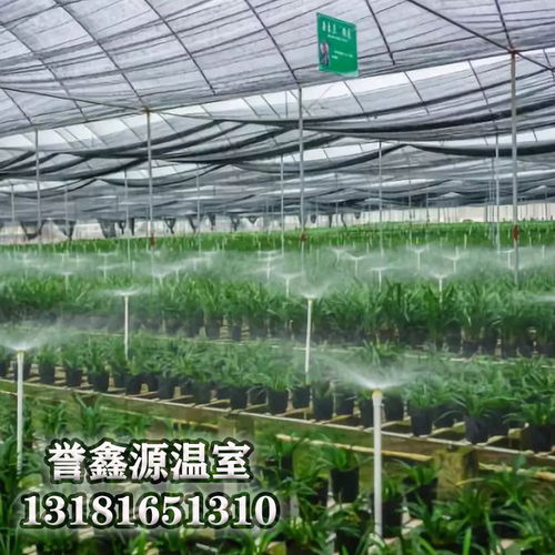 大棚温室 智能灌溉系统