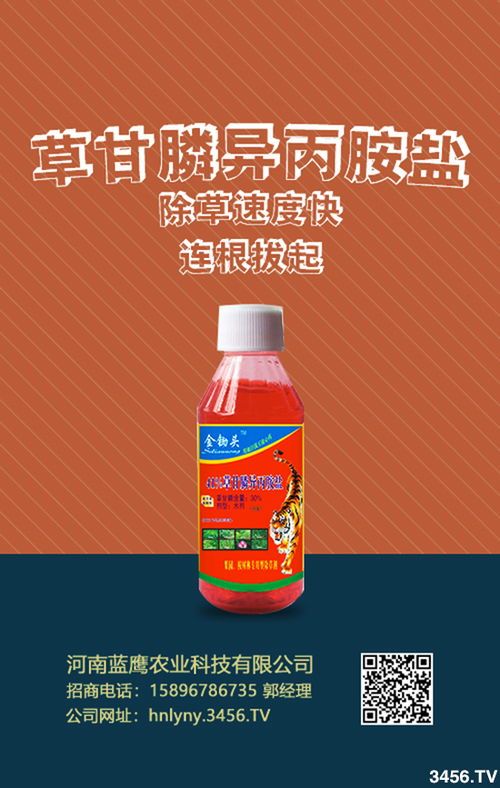 刚种的桉树什么时候施肥施什么肥才不伤根