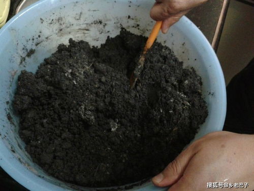 韭菜怎么种才能结得吃不了,草木灰离不了,种的韭菜生长旺叶片厚