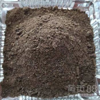 发酵羊粪晒干可以直接用吗