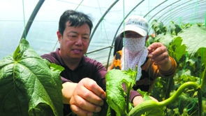 20230403 专家身在澳洲 心系农民需求