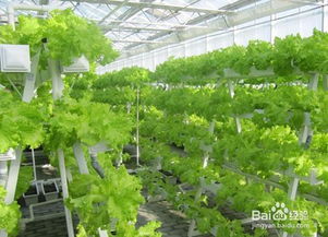 种菜营养土的自制方法