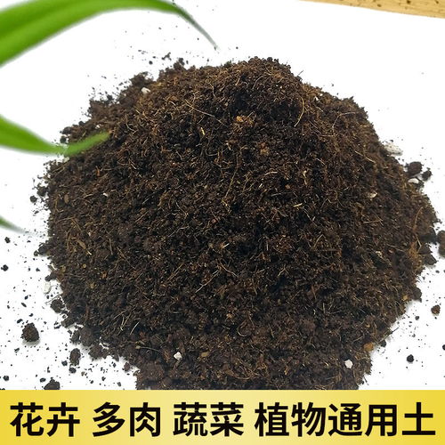 腐熟天然松针腐殖土腐叶土有机营养土种菜养花通用黑土栽种花土壤
